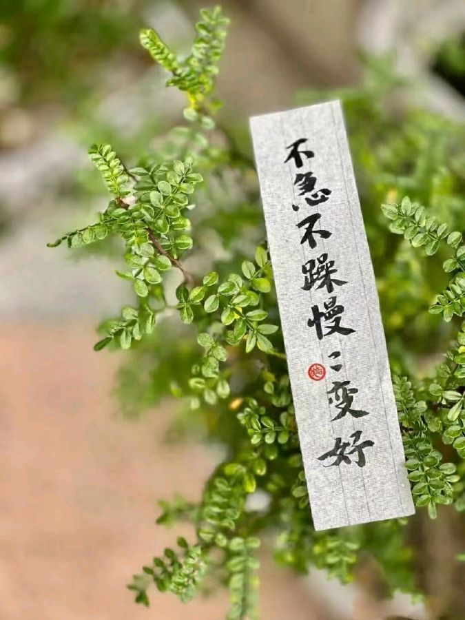 走来不能走去