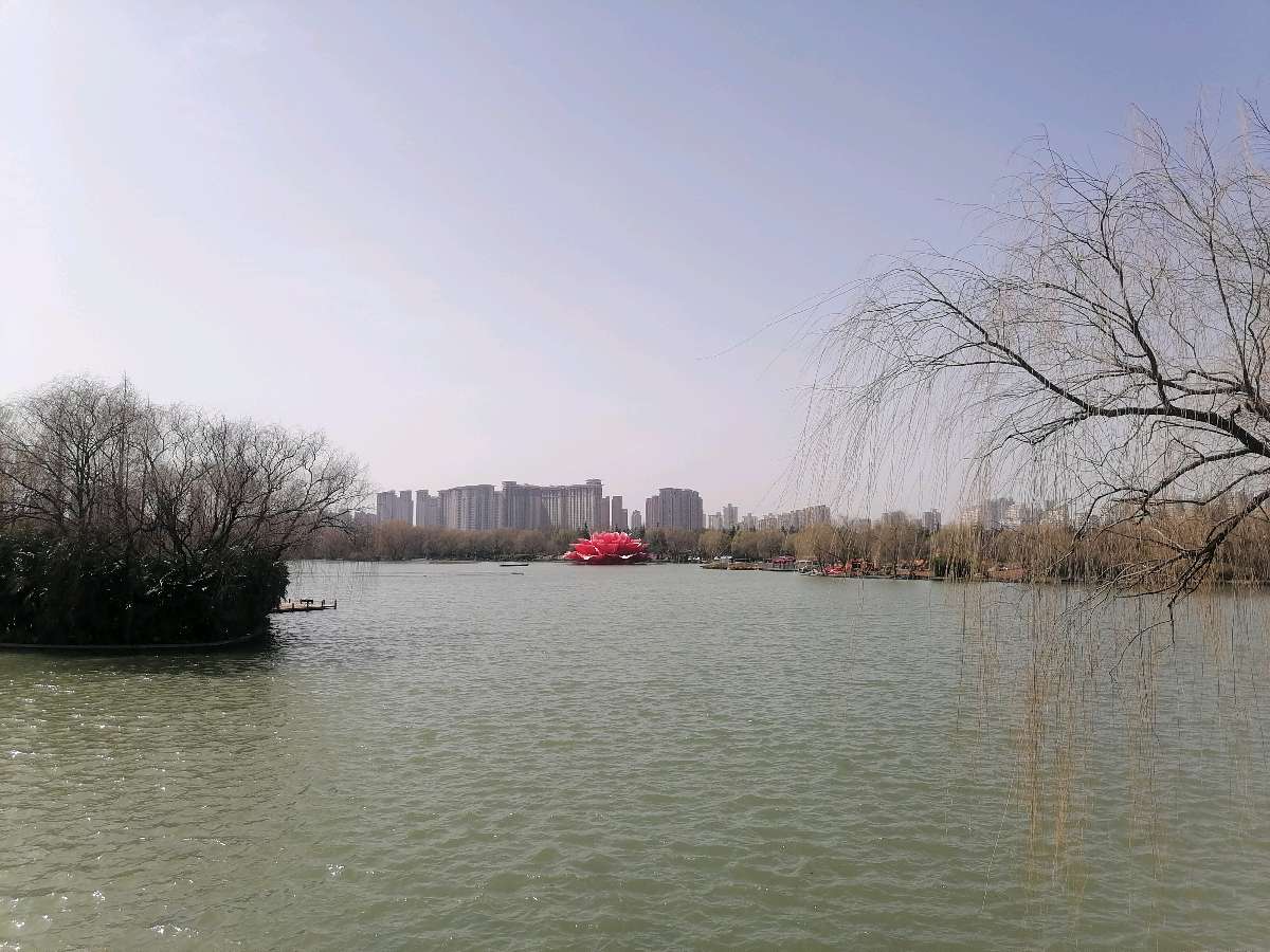 走来不能走去（图2）