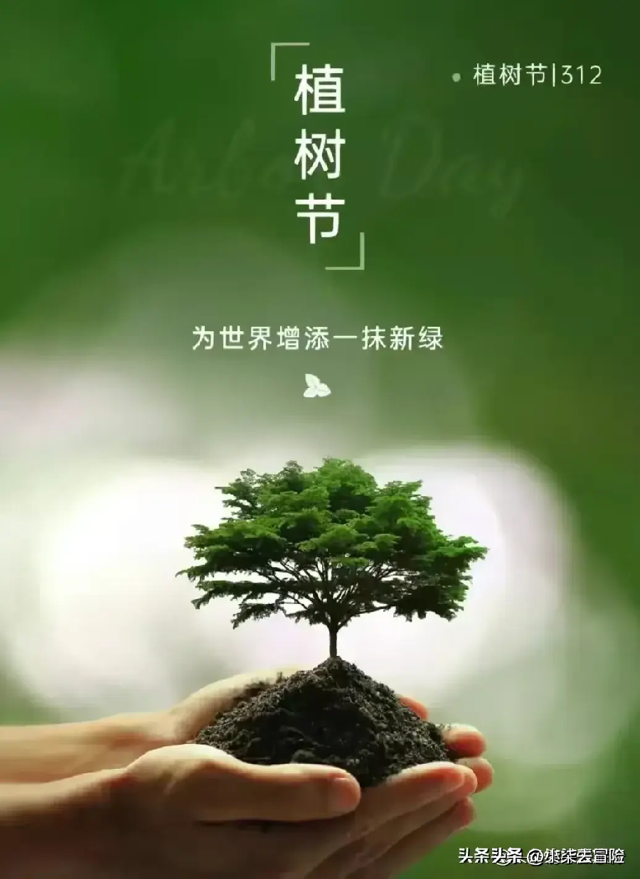 五绝·植树节随感三首(文/张华兴)……莲叶之珠文学社(图3)