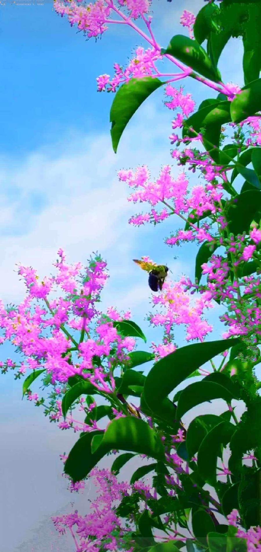 浮克：春暖花开