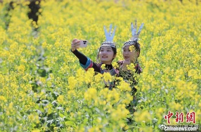 春之歌-文：神马/江花/诵：山谷幽兰【四合院诗刊】世界诗人名人展10861期（图7）