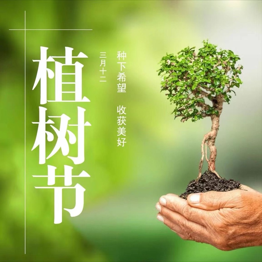 春之歌-文：神马/江花/诵：山谷幽兰【四合院诗刊】世界诗人名人展10861期（图6）