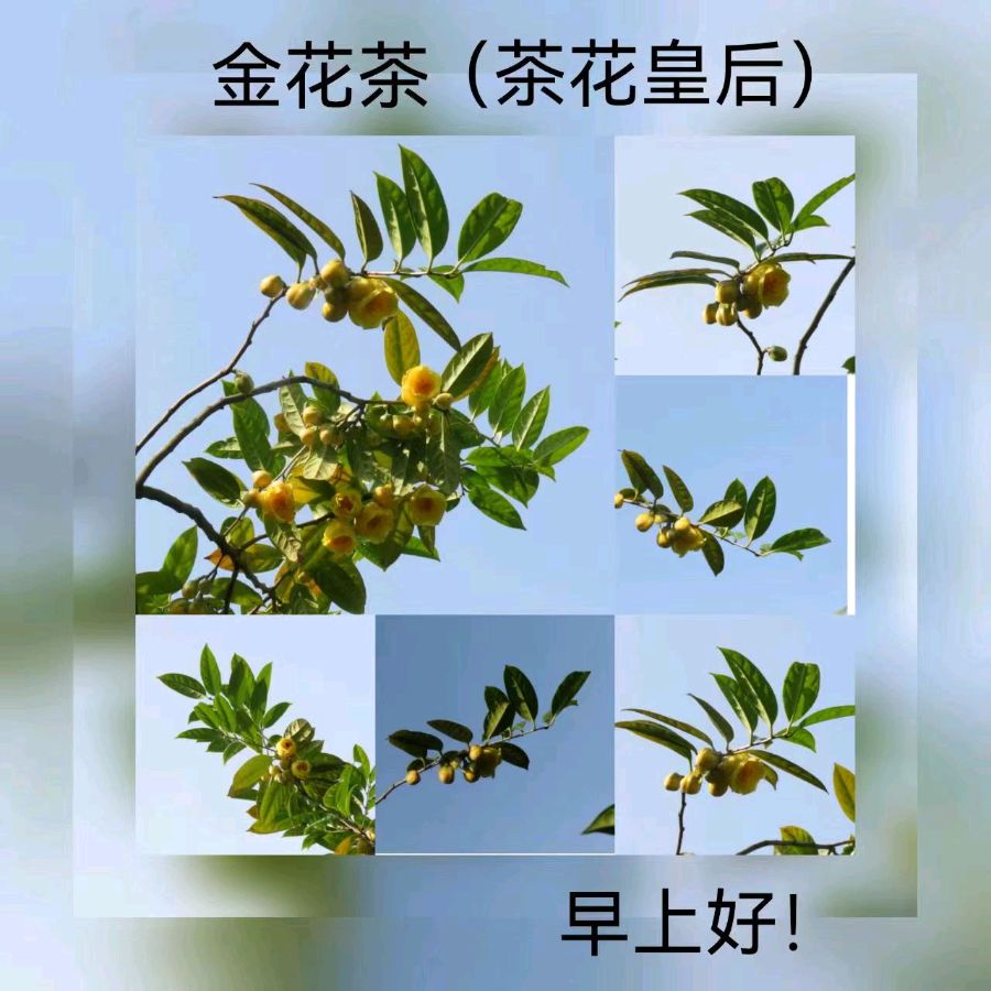联机全球发布马洪武作品欣赏（图154）