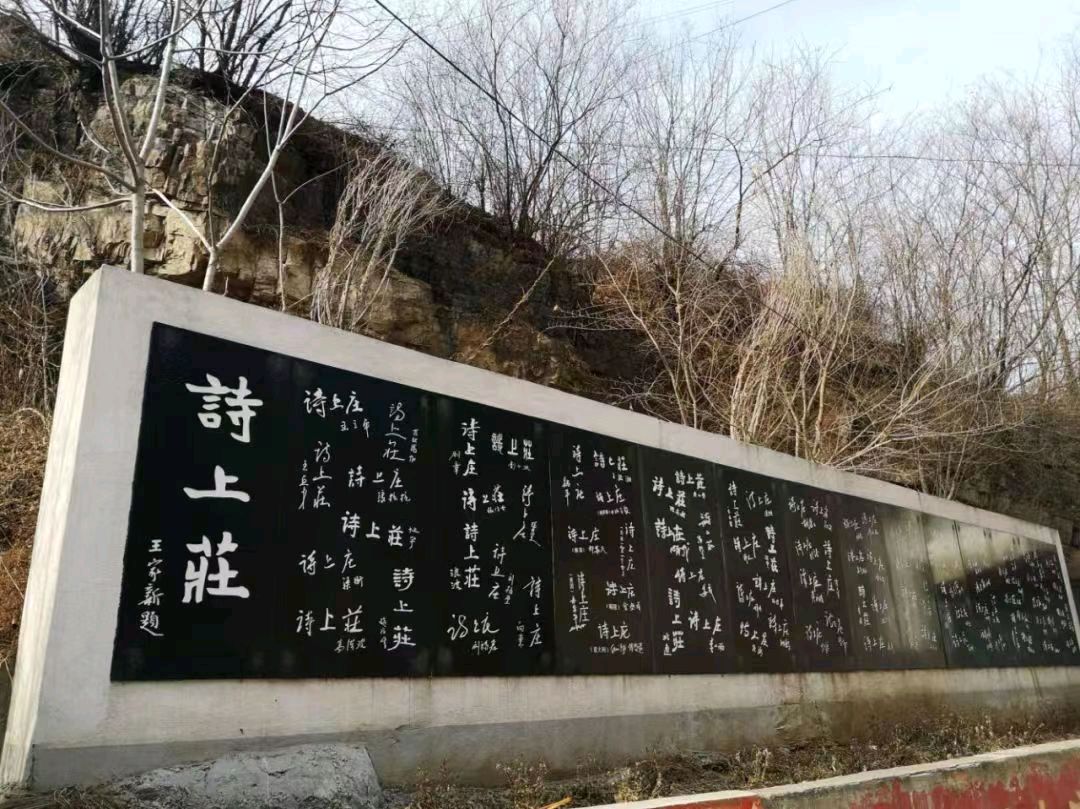 春邀希望·绿出兴隆 文/蔡凤武主播/娟子（图6）