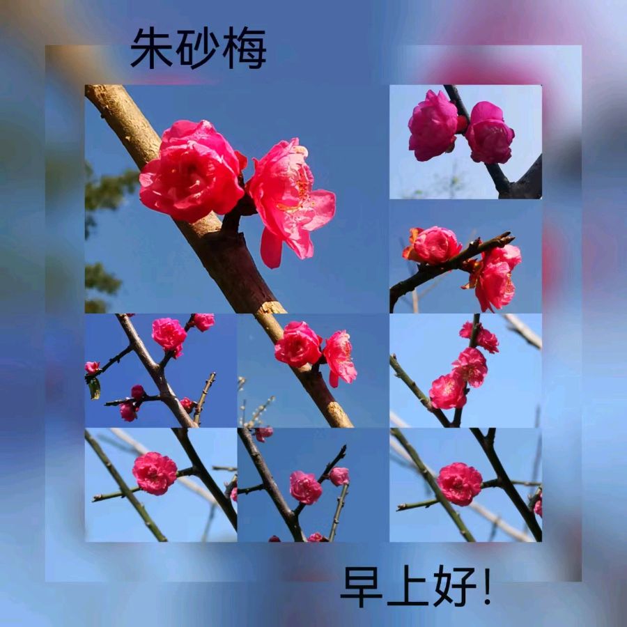 联机全球发布马洪武作品欣赏（图152）