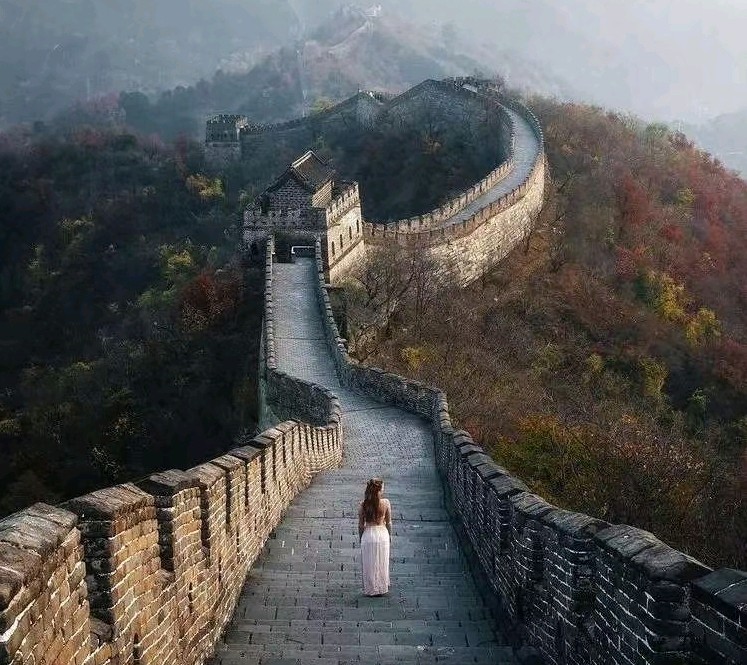 《今晚，你能不能写首诗》（图2）