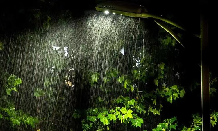 虞美人·又闻夜雨（文/许碧霞）……莲叶之珠文学社
