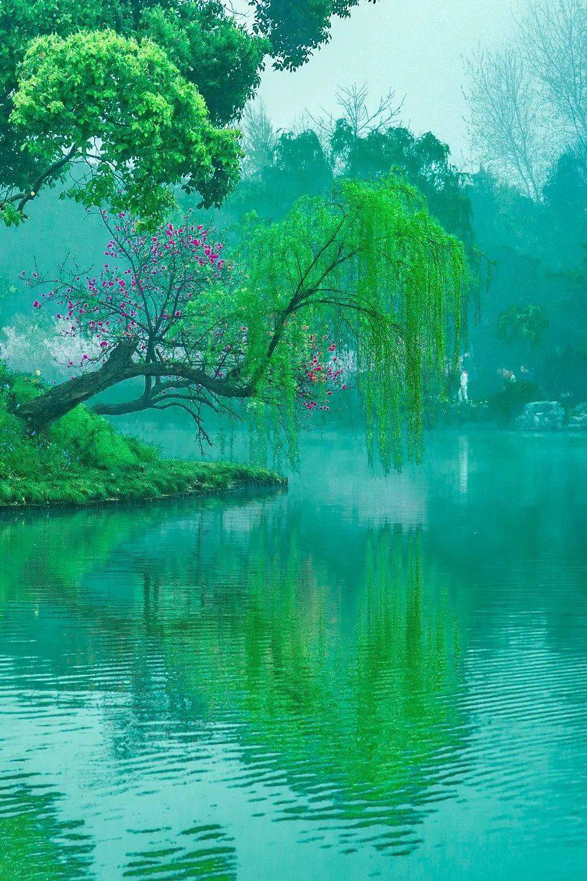 春韵里的中国～诗||旗袍（图9）