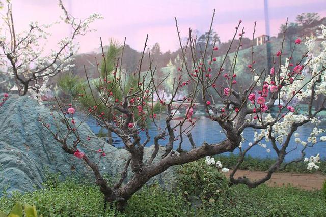 翱翔~诗||芳菊(图10)
