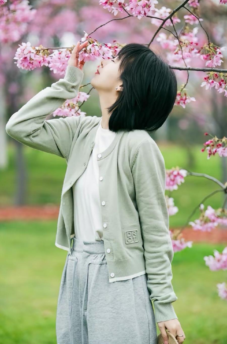 翱翔~诗||芳菊(图9)