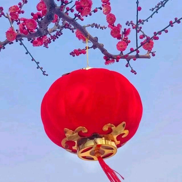 二月二即景（五）
