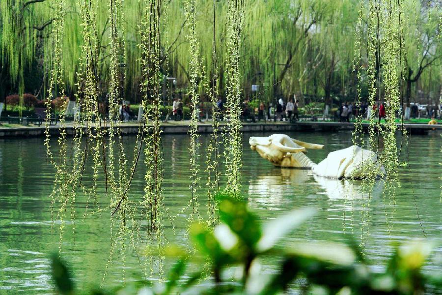 春柳吟怀（组合）诗||于兴庆（图16）