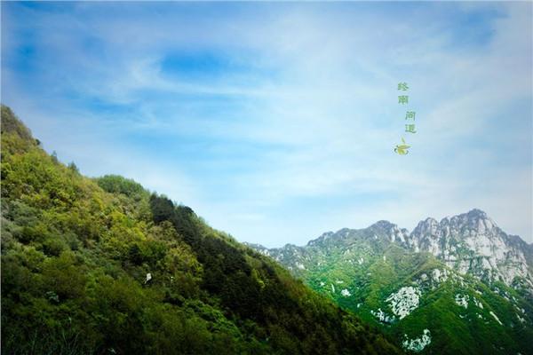 诗经版：《终南》诗经部部长董杰|诗经部编委韩爱华（图5）