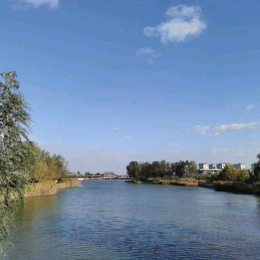 三月,我与花的情缘(图2)