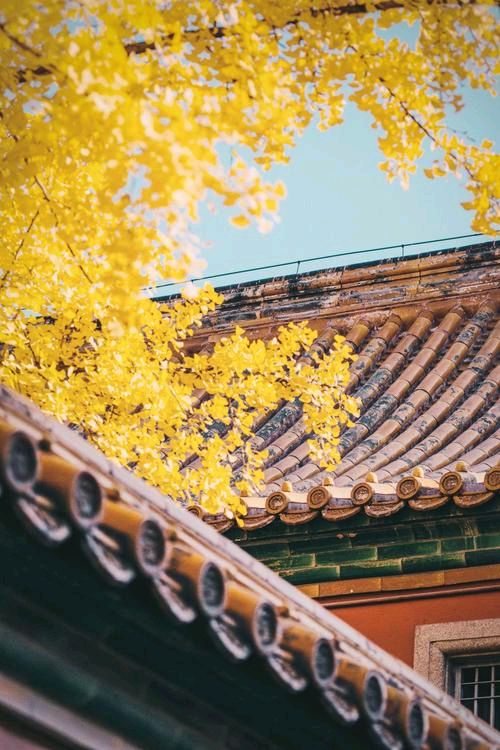 《季节的尽头》作者:王明雪（雪歌）主播:青青草【桃源国际诗歌文化传媒】用声音传递温暖以诵读致敬人生♬（图6）