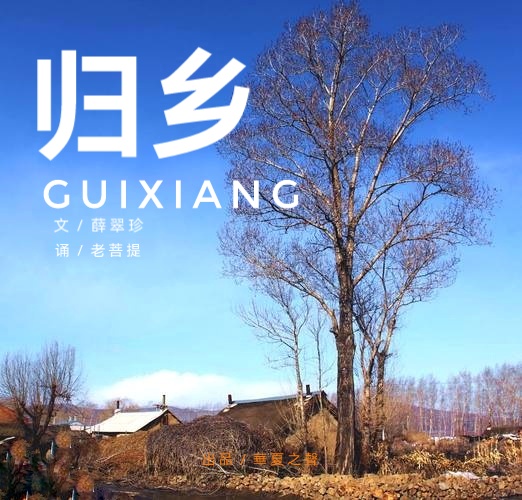 归乡 Ⅱ 文 / 薛翠珍Ⅱ诵/老菩提(图2)
