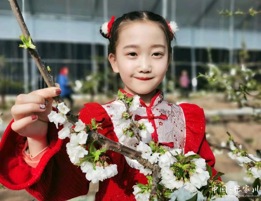 《武陵春三首现代古诗》作者:龙游天下。配乐：乐器合奏《春天来了》[中国现代诗歌文化传媒]（图8）