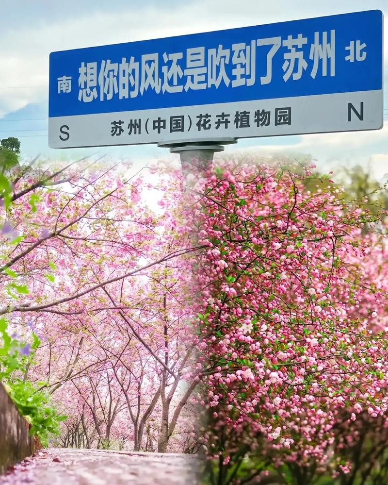 春天，是开始，是希望～文||旗袍（图13）