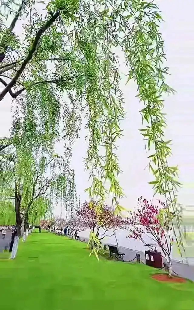 三月笑春风～文||旗袍（图15）