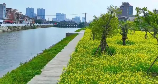 七律-春分有约踏青去～诗||雅轩琴韵（图17）