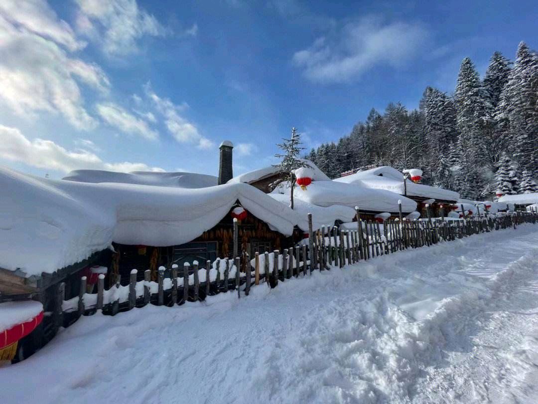 雪润人心 ‖ 作者/雷金钟 朗诵/春之声（图4）