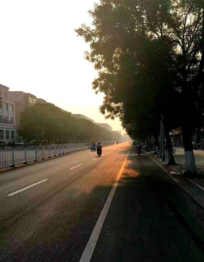归乡(薛翠珍诗词)(图6)