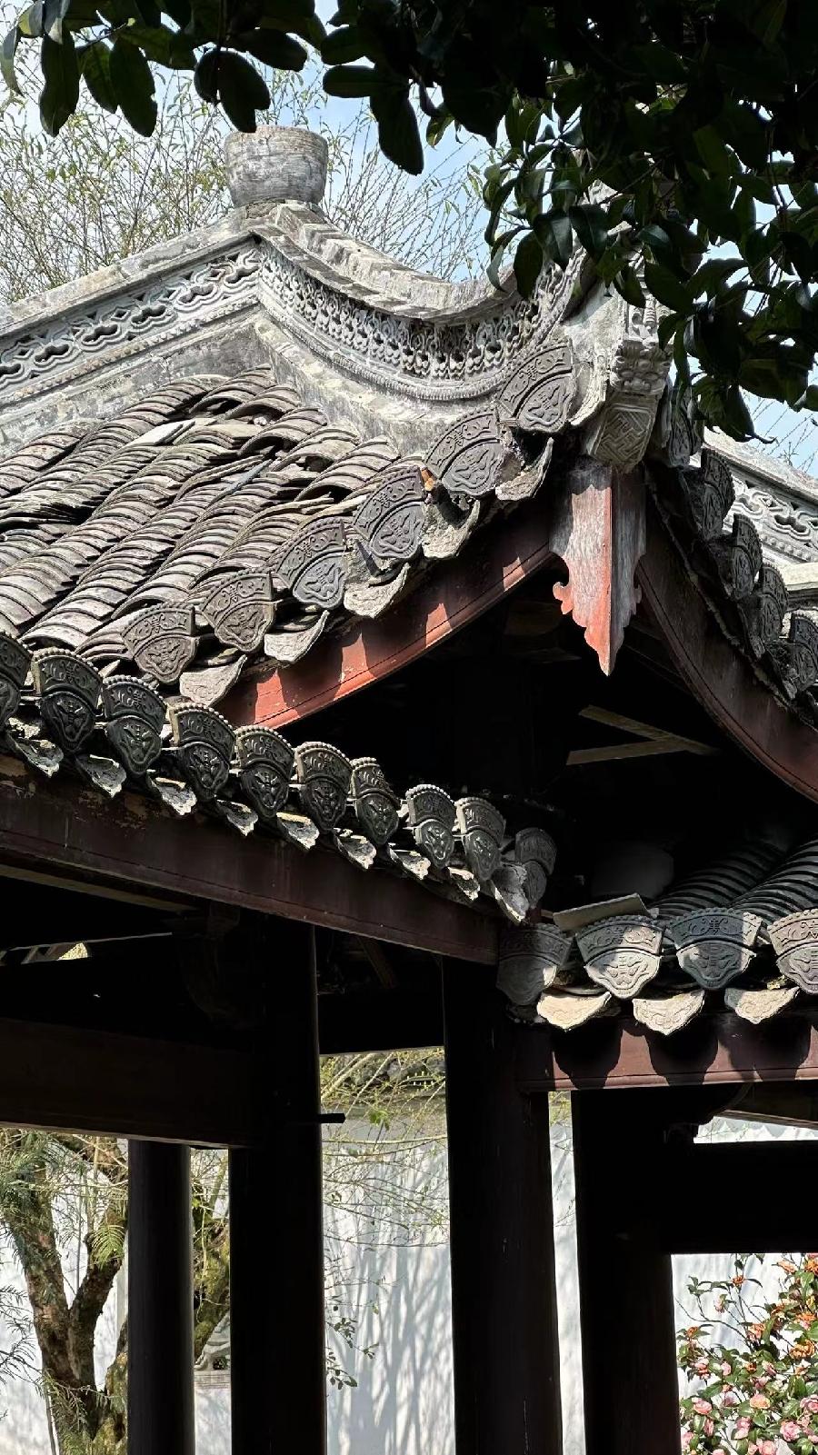 站在屋顶上说话|古梁