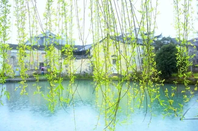 五律.春雨十首 作者/卓顺贵（图2）