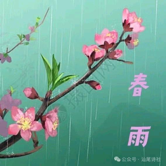 五律.春雨十首 作者/卓顺贵（图3）