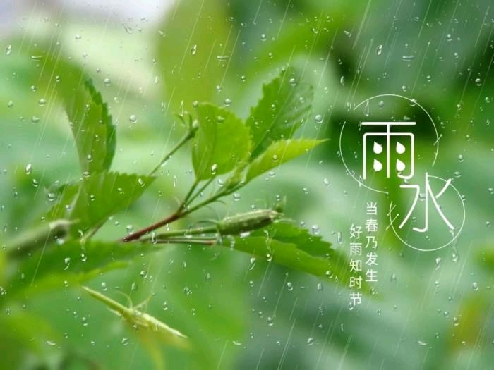 五律.春雨十首 作者/卓顺贵（图9）