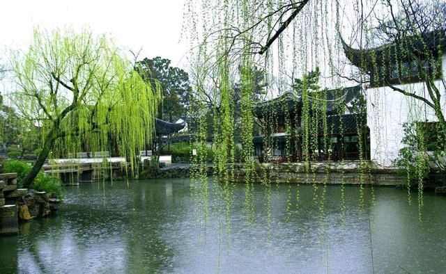 五律.春雨十首 作者/卓顺贵（图10）