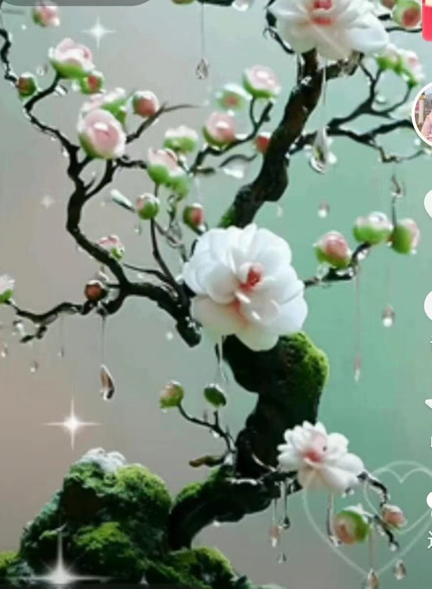 【九月茶韵文学诗社】2024—017《龙年新春寄情十首》朗诵小丽花 编辑制作刘林丽(图7)