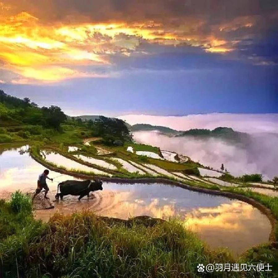 【九月茶韵文学诗社】2024—017《龙年新春寄情十首》朗诵小丽花 编辑制作刘林丽(图3)