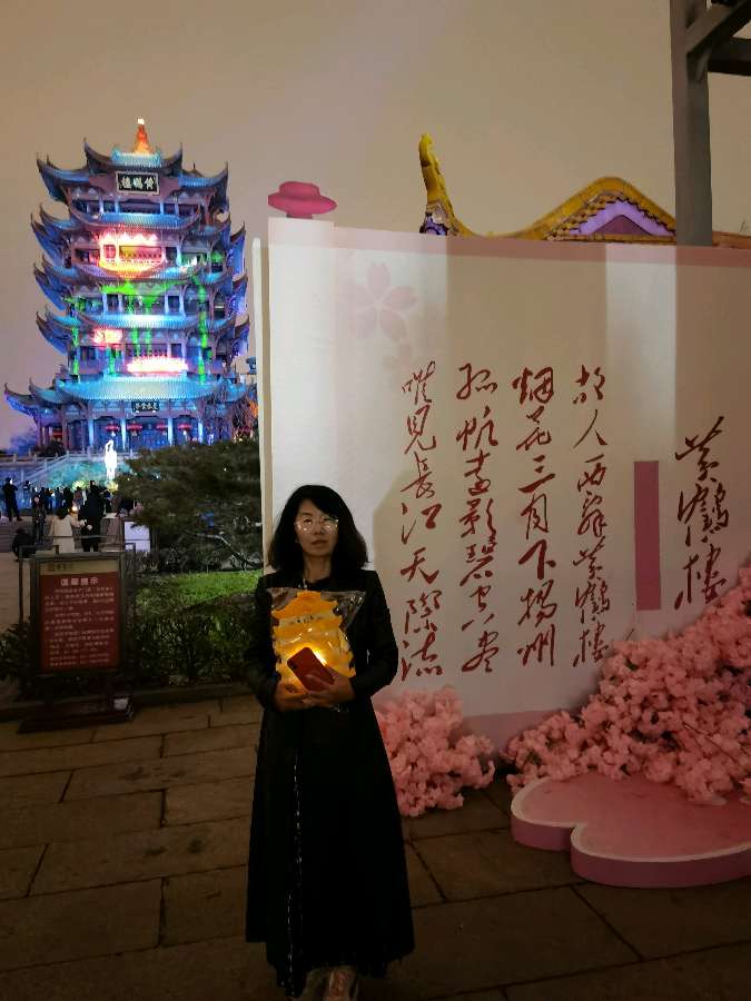 绝句·梦游黄鹤楼/苏文文（图2）