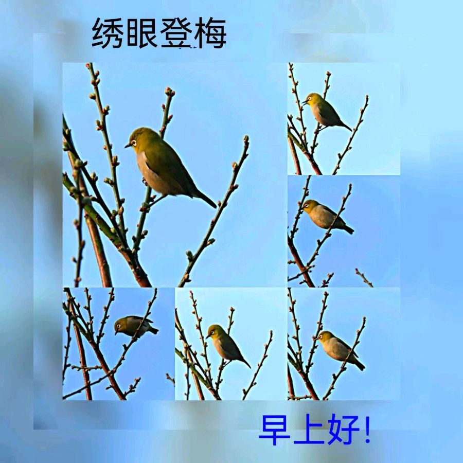 联机全球发布马洪武作品欣赏（图145）