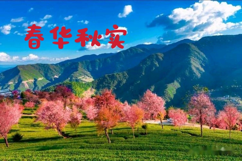 【经典推荐春华秋实】鲁坡//七律•春日抒怀（图7）