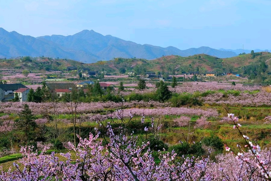 《岁月的梦》（图2）