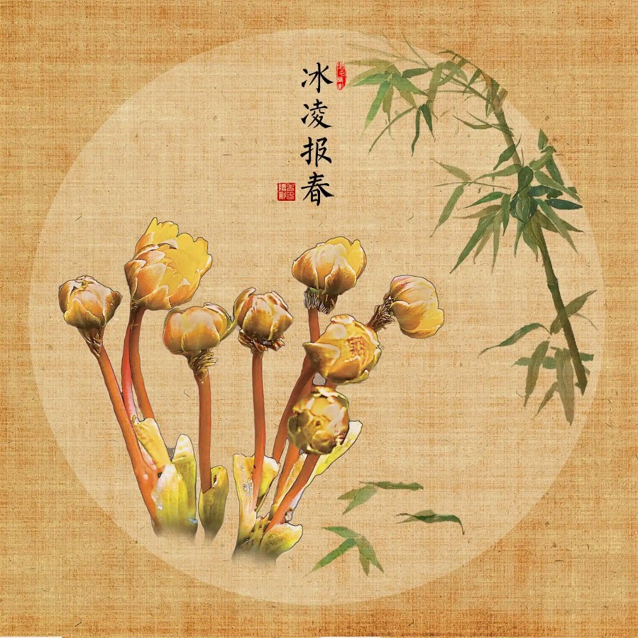九合群唱和28期《冰凌花》‖巴彦诗词楹联协会【662】（图4）