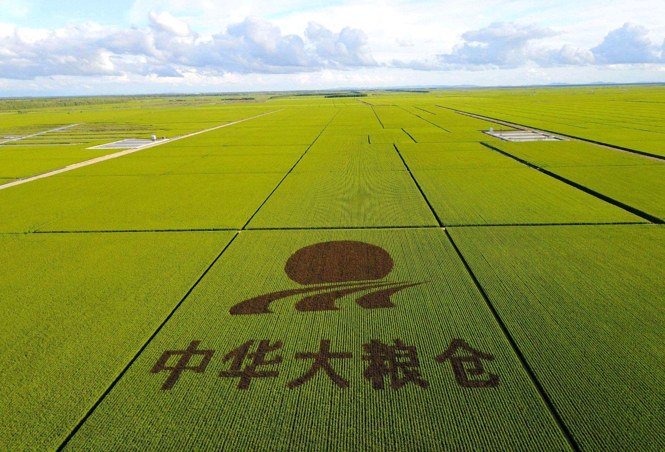 请欣赏岁月静好.治新合诵《青玉案.粮仓腾飞》作者 李振和//编辑 岁月静好 第8069期（图3）