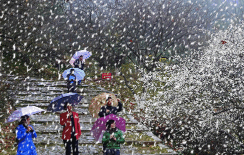 《雪放飞的浪漫》作者:吴丽跃。朗读者:慧思海。[中国现代诗歌文化传媒]（图5）
