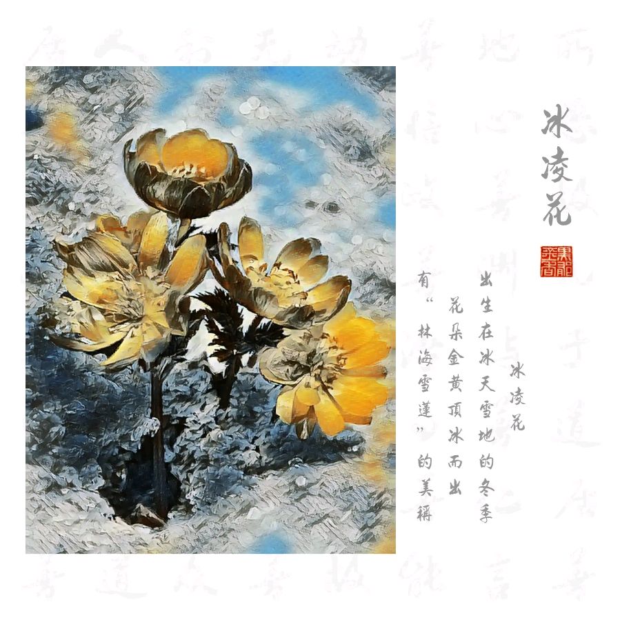 九合群唱和28期《冰凌花》‖巴彦诗词楹联协会【662】（图11）