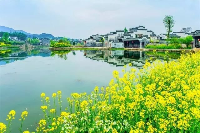 我读春天～诗||旗袍（图14）