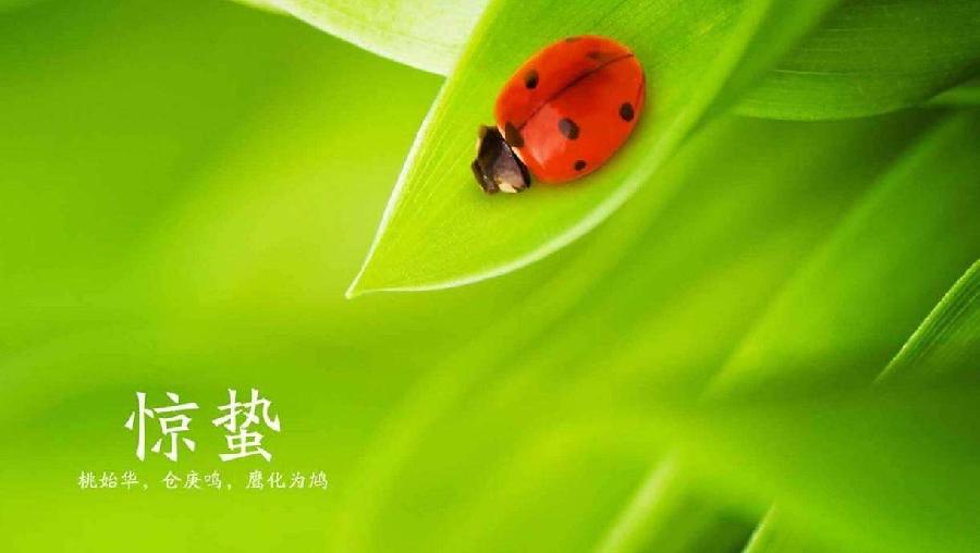 水调歌头-二十四节气(24首)词||吕志学(图18)