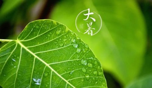 水调歌头-二十四节气(24首)词||吕志学(图37)
