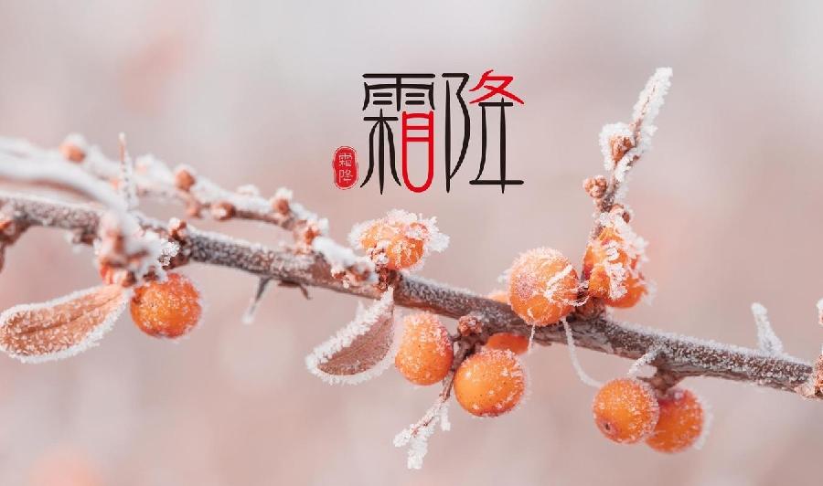 水调歌头-二十四节气(24首)词||吕志学(图50)