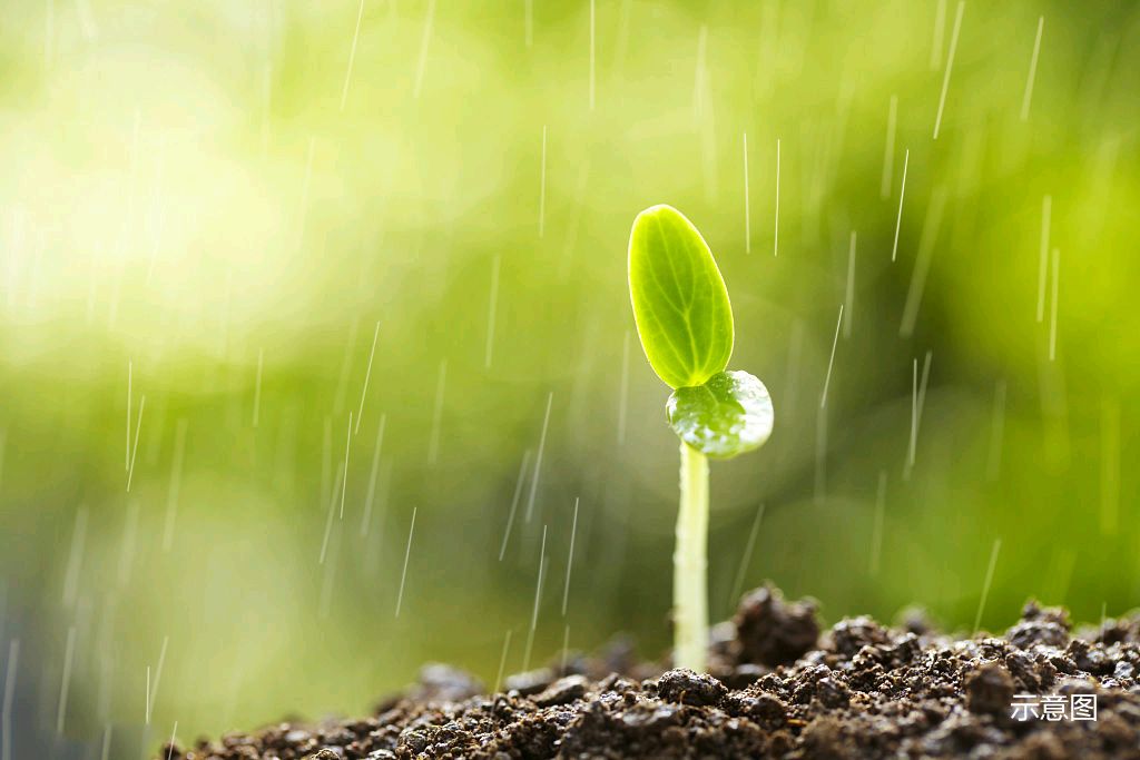 忆秦娥•春雨绵绵（外一首）作者/欧阳贤（图3）
