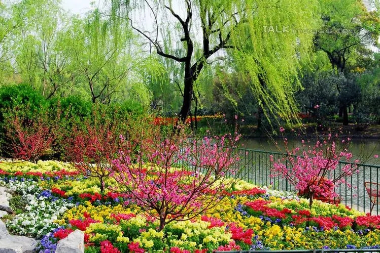 春景.webp 春景.webp