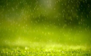 《听 春雨的声音》作者:施宏【主播:青青草】【桃源国际诗歌文化传媒】用声音传递温暖以诵读致敬人生♬（图7）
