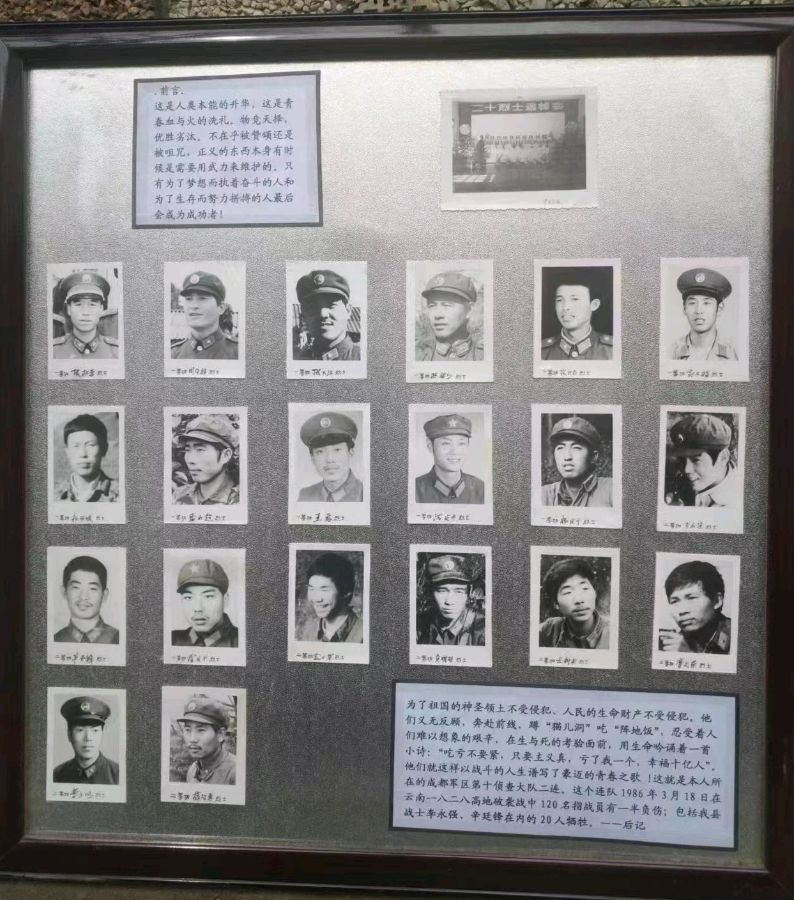【重磅推出血染的风采】李云//又是一年木棉红 （鲁坡//仰望群山你为峰）（图5）