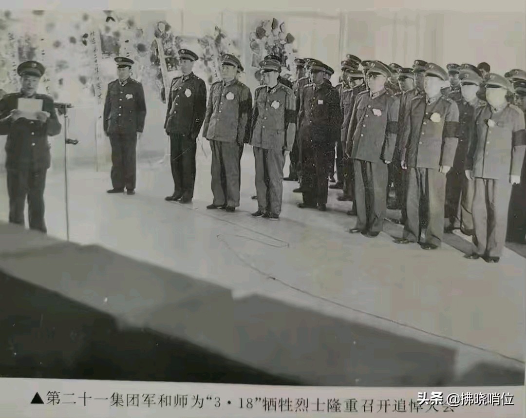 【重磅推出血染的风采】李云//又是一年木棉红 （鲁坡//仰望群山你为峰）（图11）